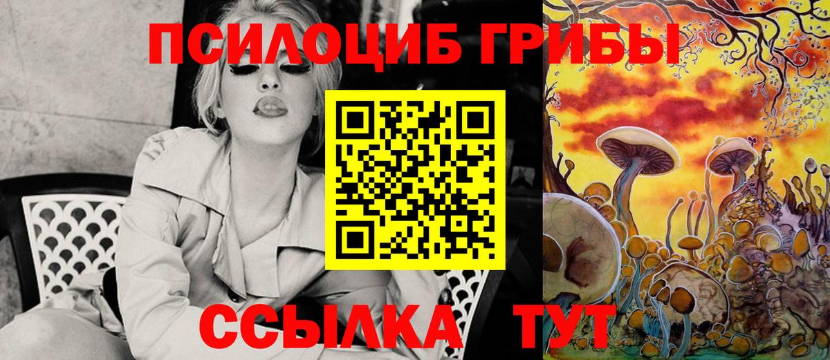 Барабинск  Псилоцибиновые грибы Psilocybe  Вход с VPN 